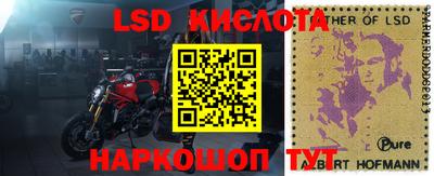 a pvp Нальчик