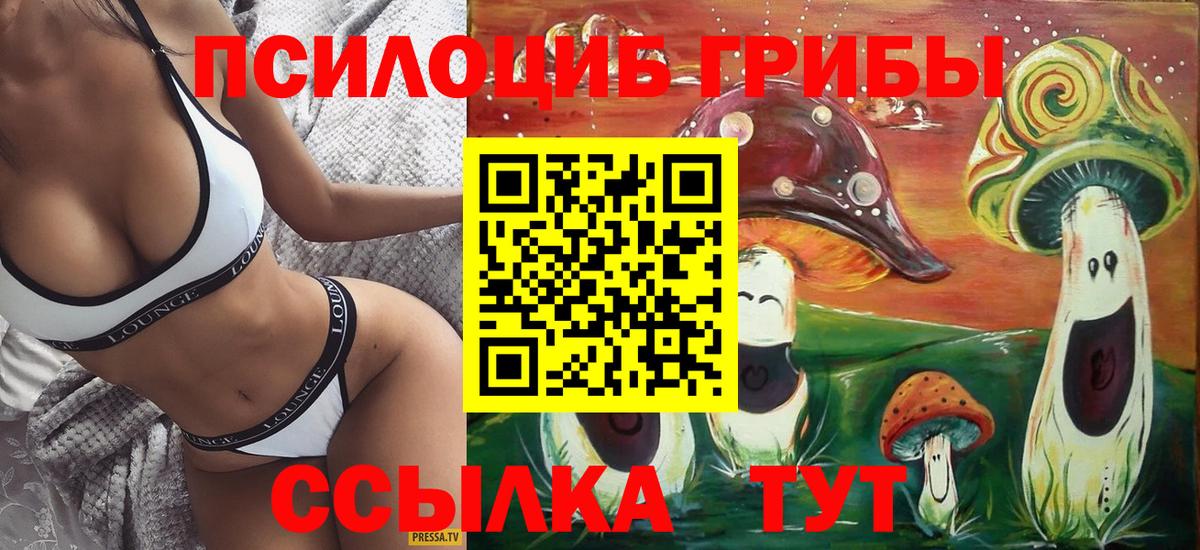 Саянск  Псилоцибиновые грибы Psilocybine cubensis  Вход с VPN  Галлюциногенные грибы MAGIC MUSHROOMS 